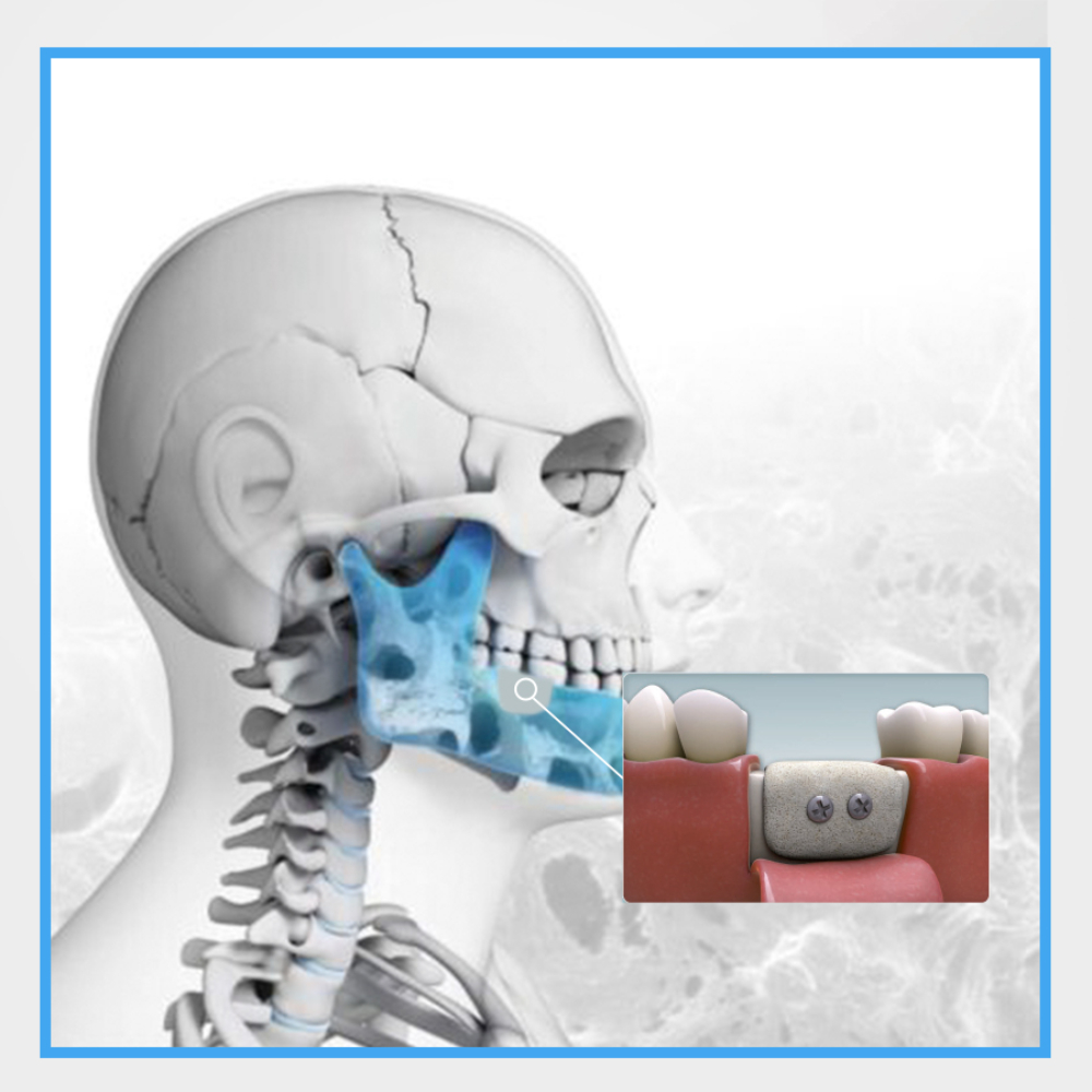 Xương và màng xương