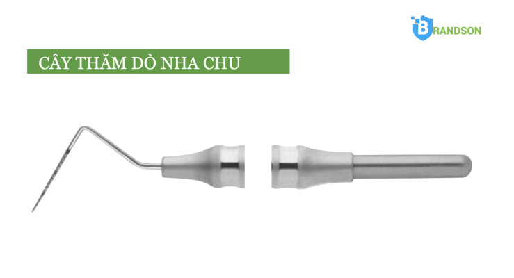 cây thăm dò nha chu